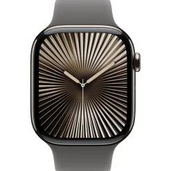 Apple Watch S10 Titan Natur Cellular 46mm (Sportarmband steingrau) M/L