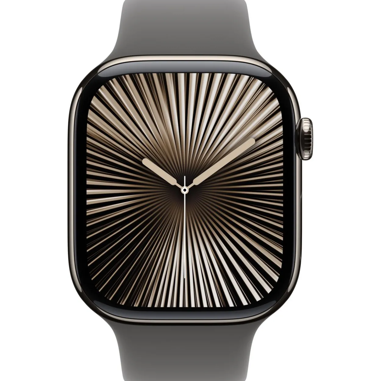 Apple Watch S10 Titan Natur Cellular 46mm (Sportarmband steingrau) M/L