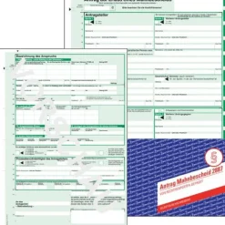 AVERY Zweckform 25 Mahnbescheid für maschinelle Bearbeitung Formulare 2887
