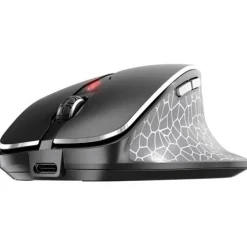 CHERRY MW 8C Ergo USB 2.4GHz Bluetooth schwarz (kabellos)