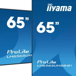 64,5