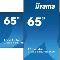 64,5