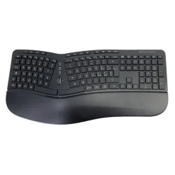Conceptronic Wireless Keyboard+Mouse,ergo, Italienisches Layout, kabellos