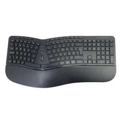 Conceptronic Wireless Keyboard+Mouse,ergo, portugiesisches Layout, kabellos