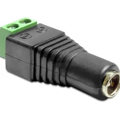 Delock Adapter Terminalblock 2Pin DC 2,1 x 5,5mm Buchse
