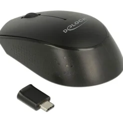Delock Maus USB schwarz (kabellos)