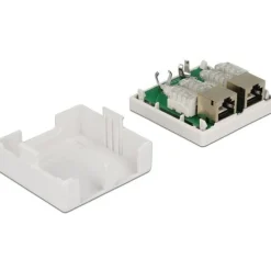 DeLOCK Netzwerk Dose 2xRJ45 LSA Cat.6