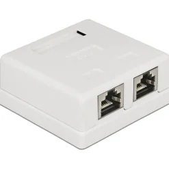 DeLOCK Netzwerk Dose 2xRJ45 LSA Cat.6