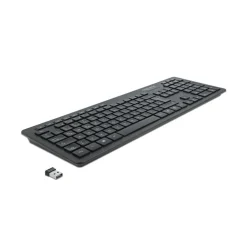 Delock Silent 2.4 GHz Deutsch schwarz (kabellos)