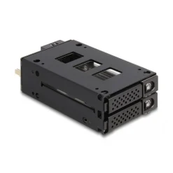 DELOCK Slim Bay Wechselrahmen fur 2 x 6,35cm 2,5Zoll U.2 NVMe SSD mit 5.25inch Rahmen