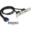 Delock Slotblech 2x USB3.0