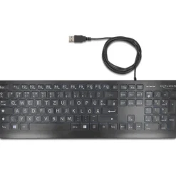 Delock USB Tastatur kabelgebunden 1,5 m schwarz mit XXL Bstb