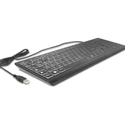 Delock USB Tastatur kabelgebunden 1,5 m schwarz mit XXL Bstb