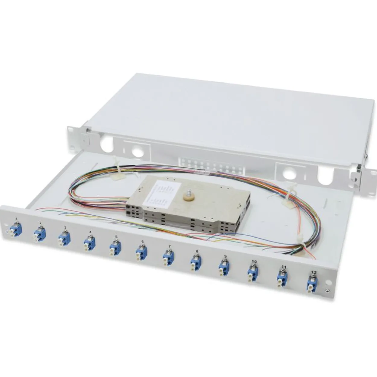 Digitus Assmann LWL Spleißbox, bestückt, 12xLC Duplex, OS2
