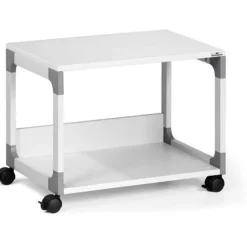 Durable Bürowagen SYSTEM Multi Trolley 48, 2 Böden