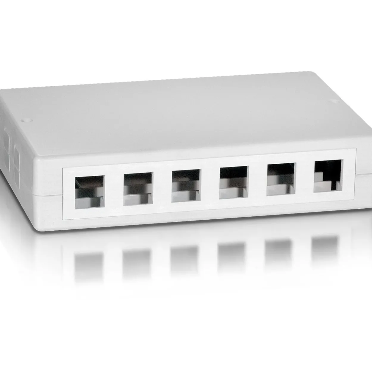 equip Aufputz Box für 12 x Keystone Jack, weiß