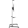 Equip TV-Wagen 60"-100"/1TFT 100kg mit Höhenverstellung gr