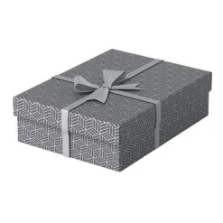 Esselte Home Aufbewahrungsboxen 8,0 l grau 26,5 x 36,0 x 10,0 cm, 3 St.