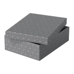 Esselte Home Aufbewahrungsboxen 8,0 l grau 26,5 x 36,0 x 10,0 cm, 3 St.