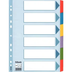 Esselte Ordnerregister DIN A4 Vollformat blanko farbig 6-teilig, 1 Satz