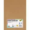 folia Tonpapier Kraftkarton braun 230 g/qm 50 Blatt 692/4/98