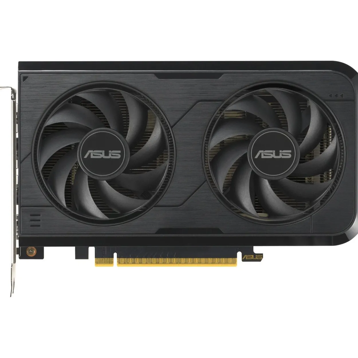 8GB Asus GeForce RTX 5050 Dual OC Aktiv PCIe 5.0 x16 (x8) (Retail)