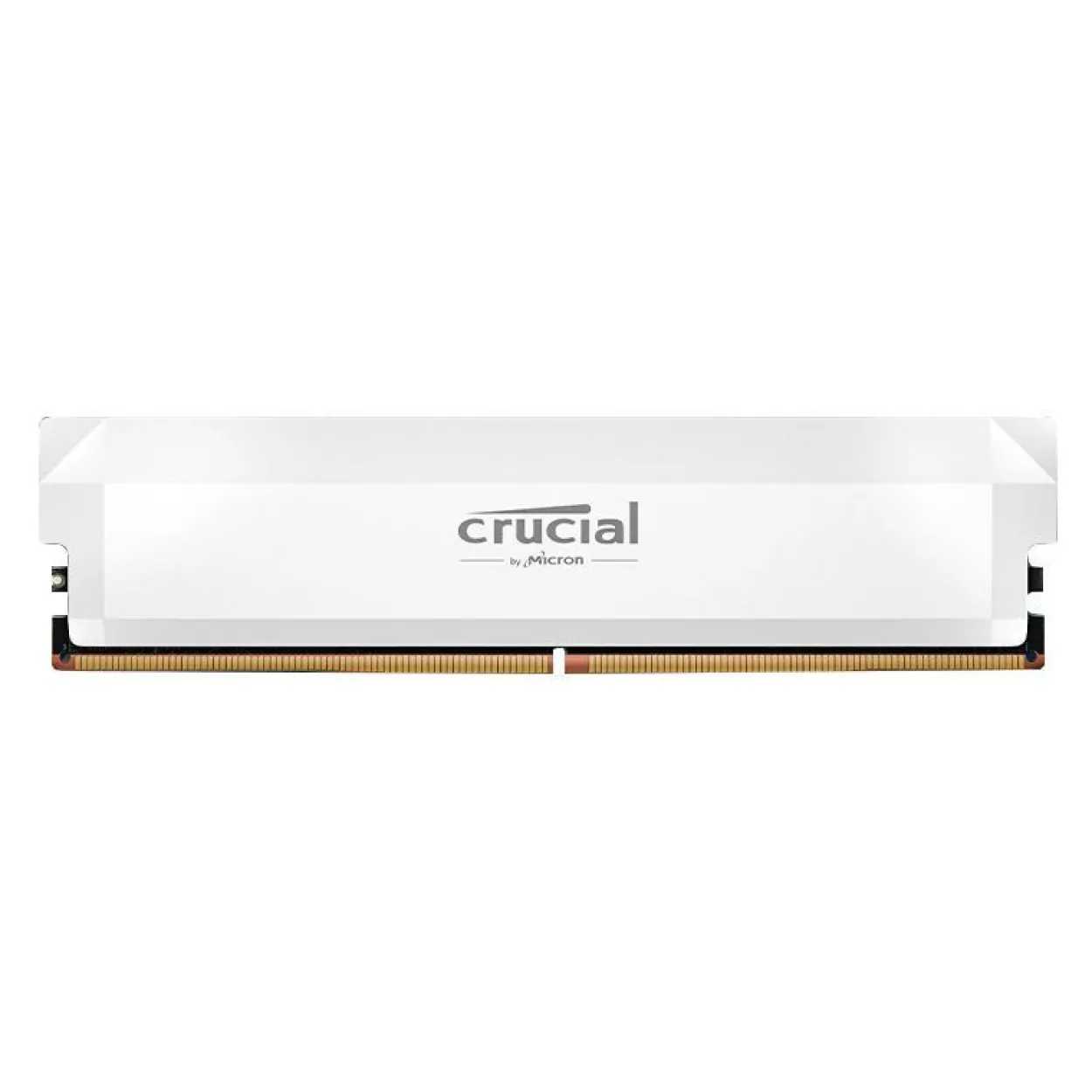 16GB Crucial Pro Overclocking weiß DDR5-6400 DIMM CL 38 Single