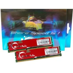 4GB G.Skill NQ Series DDR3-1600 DIMM CL9 Dual Kit