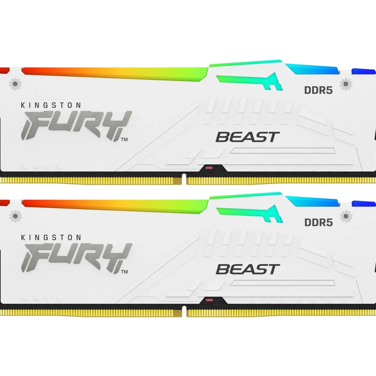32GB Kingston FURY Beast RGB DDR5-5600 DIMM CL36 Dual Kit