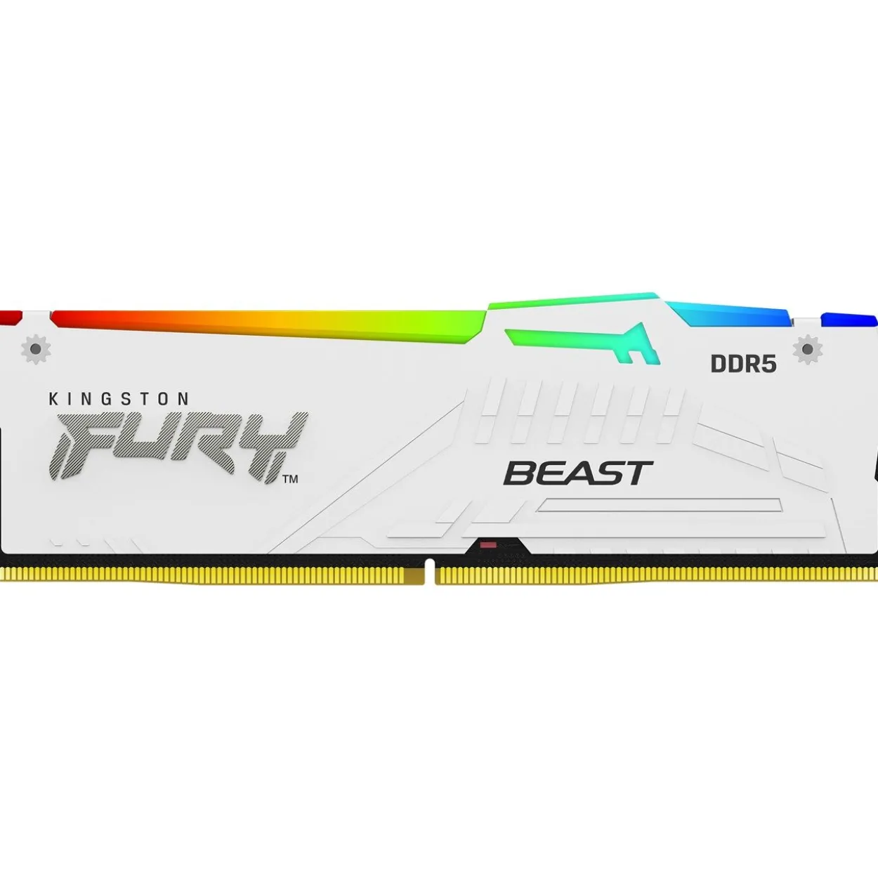 16GB Kingston FURY Beast RGB weiß DDR5-6400 DIMM CL32 Single