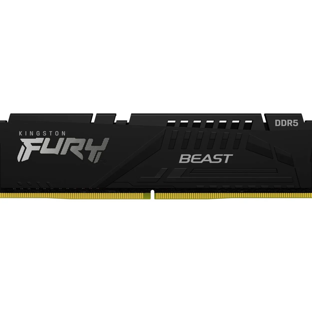 16GB Kingston FURY Renegade Pro DDR5-6400 DIMM CL32 Single