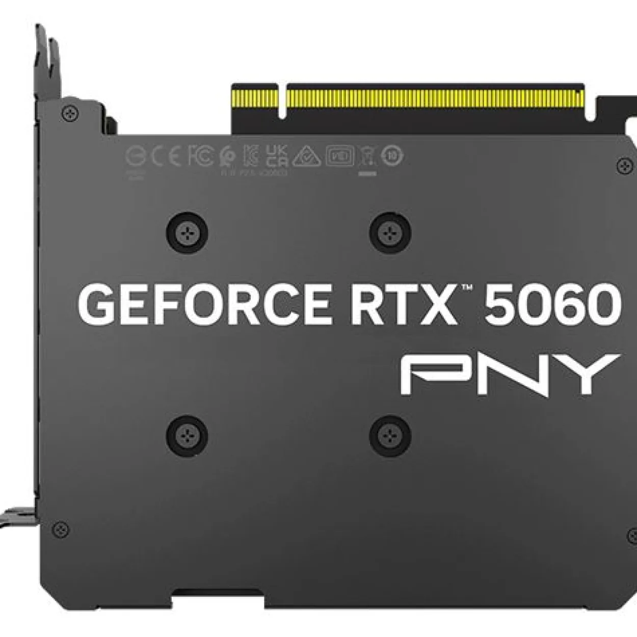 8GB PNY GeForce RTX 5060 Single Fan Aktiv PCIe 5.0 x16 (x8) (Retail)