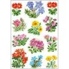HERMA 36 Aufkleber 3582 Blumen