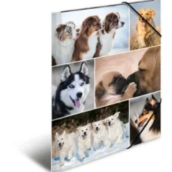 HERMA Eckspannermappe "Hunde", aus Karton, DIN A4