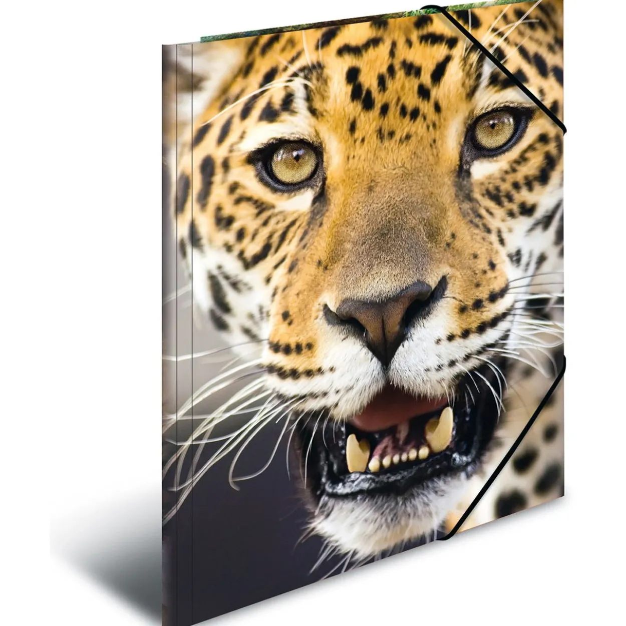 Herma Eckspannermappe "Leopard", aus PP, DIN A4