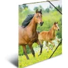 Herma Eckspannermappe "Pferde", aus PP, DIN A4