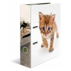 HERMA Ordner A4 Karton Katze
