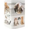 HERMA Stiftehalter Katzen Karton 8,0 x 8,0 x 13,5 cm