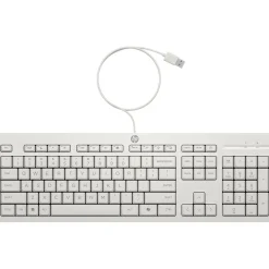 HP 225 WIRED MOUSE AND KB G2 US Layout