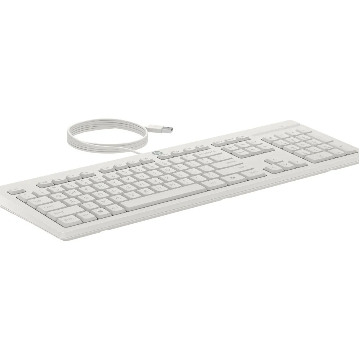 HP 225 WIRED MOUSE AND KB G2 US Layout