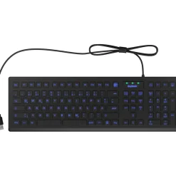 KeySonic KSK-8031 USB Deutsch schwarz (kabelgebunden)