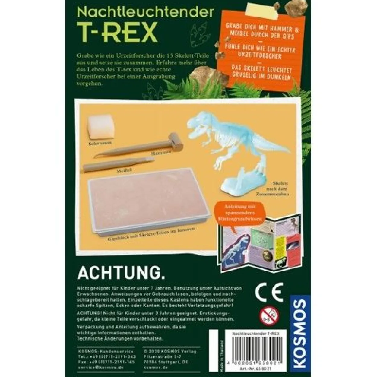 Kosmos Nachtleuchtender T-REX