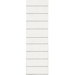 LEITZ 100 Beschriftungsschilder für Hängeregister 1901 weiß