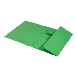 LEITZ Jurismappe recycle 3906 DIN A4 grün