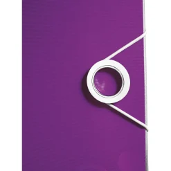 Leitz Ordner Active WOW, 180 Grad, 80 mm, violett