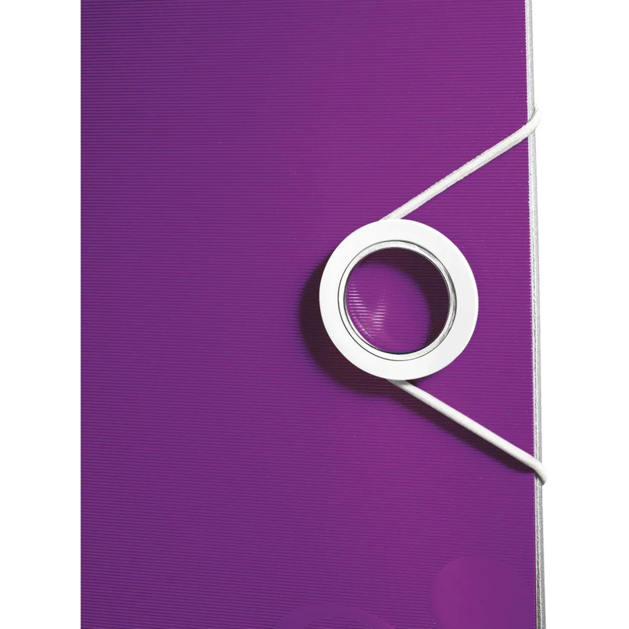 Leitz Ordner Active WOW, 180 Grad, 80 mm, violett