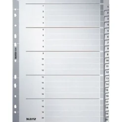 LEITZ Ordnerregister Vollformat 1-20 grau 20-teilig, 1 St.