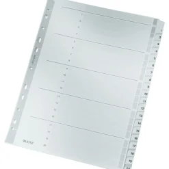 LEITZ Ordnerregister Vollformat 1-20 grau 20-teilig, 1 St.