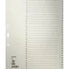 LEITZ Ordnerregister 1231 Vollformat, Überbreite 1-31 grau 31-teilig, 10 Satz