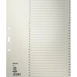 LEITZ Ordnerregister 1231 Vollformat, Überbreite 1-31 grau 31-teilig, 10 Satz